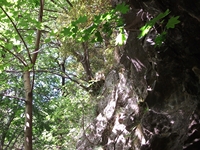 qua Rocca10062012 131